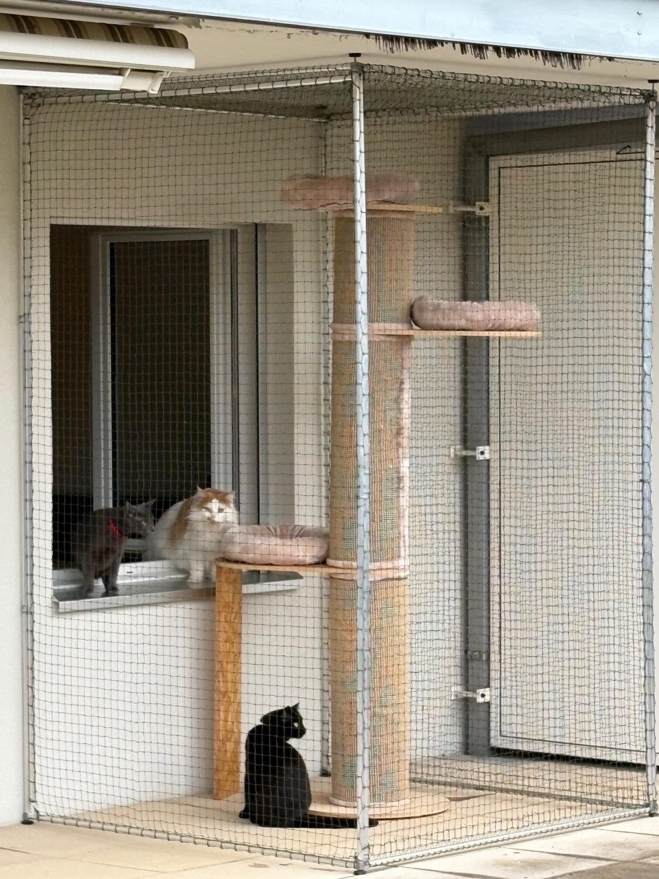 Catio 3 côtés avec couverture – 6