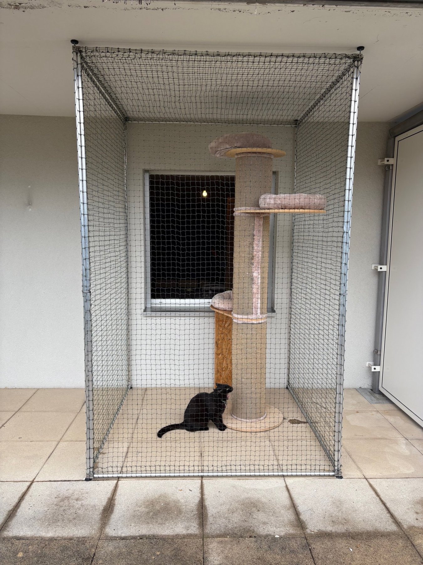 Catio 3 côtés avec couverture