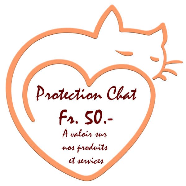 Bon cadeau